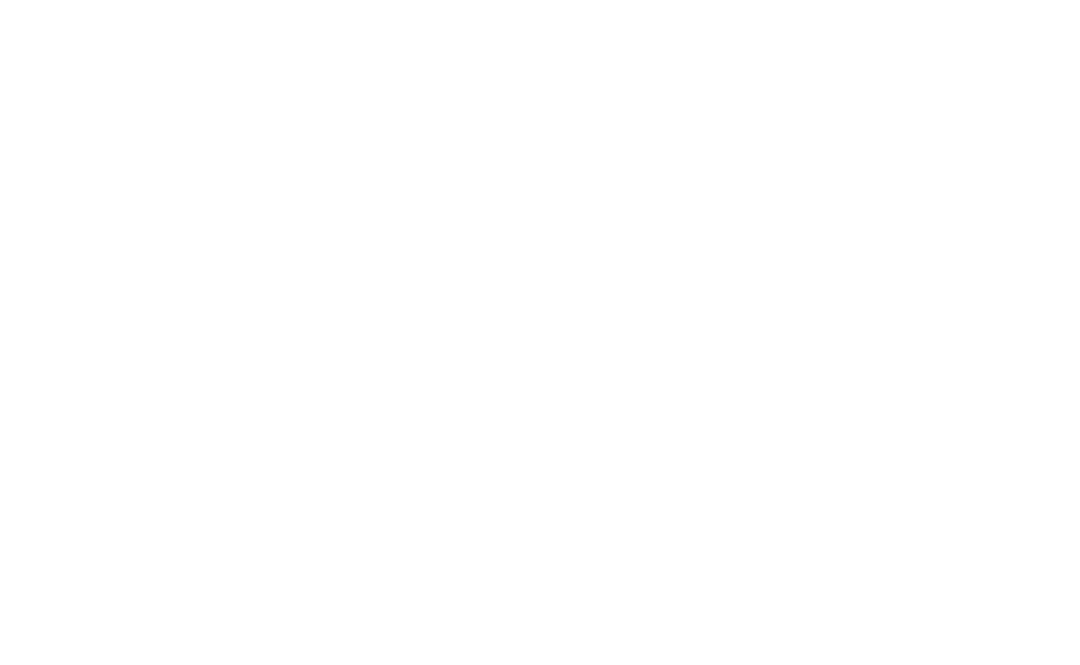 Adam Shehada